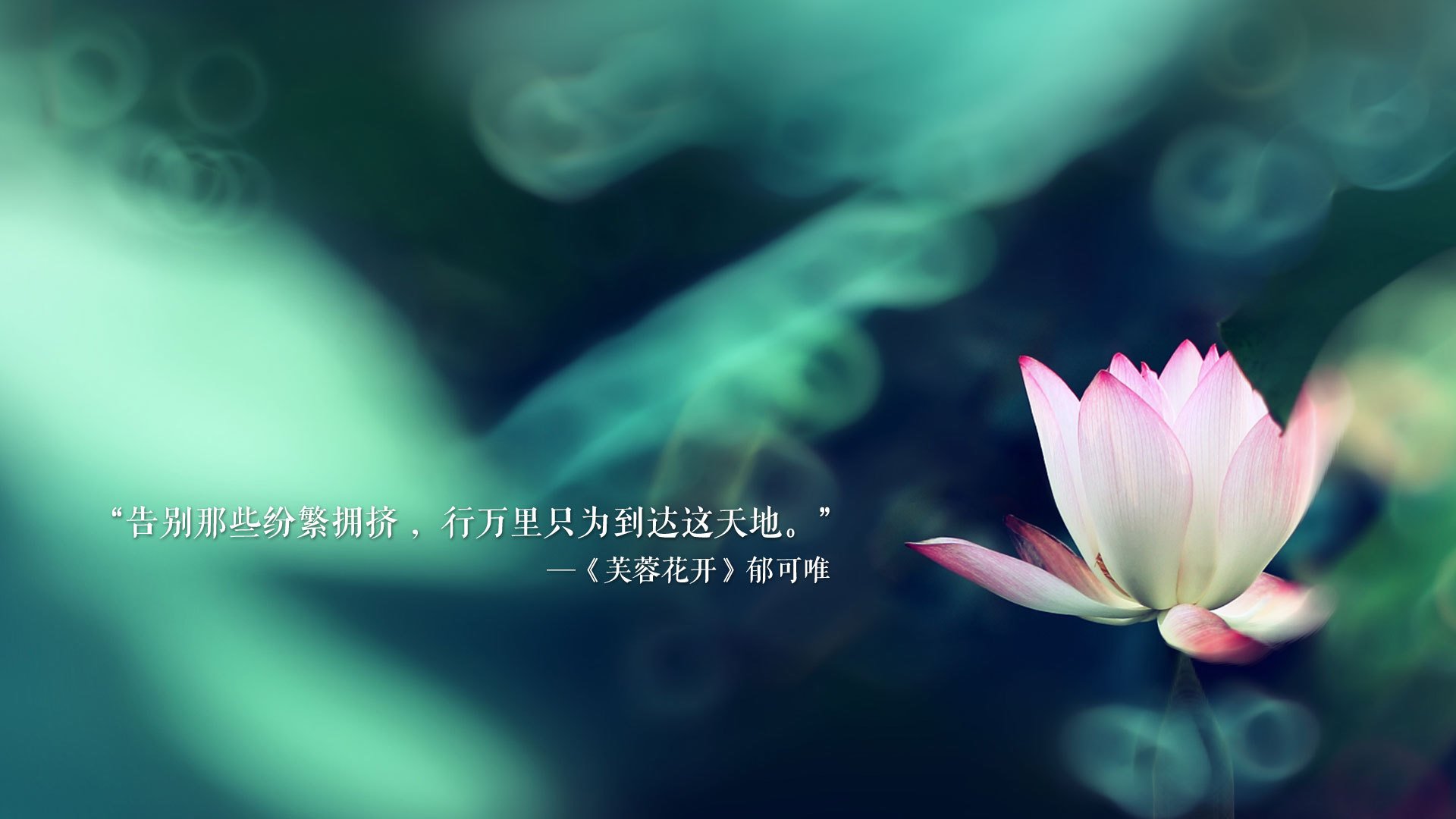 kaiyun体育综合-_赤脚挑战赛：不同凡响的创新运动体验_，赤脚综艺