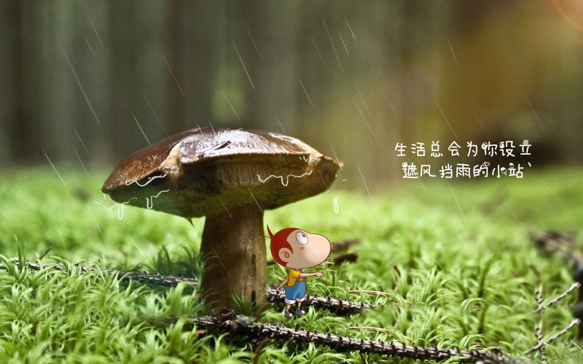 Kaiyun官方登录入口-“意甲传统豪门再次展现霸气，引发关注”，意甲的豪门