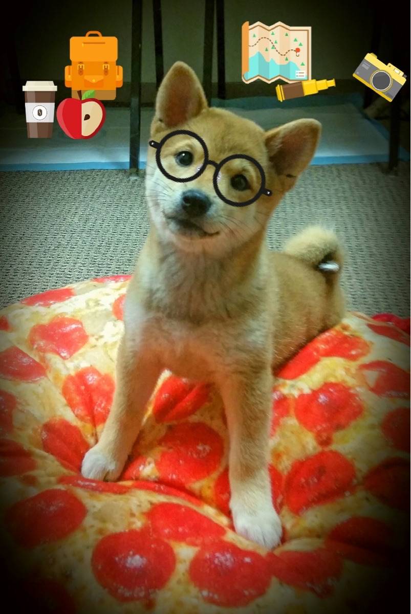 开云入口-中国女排力克巴西,锁定世联赛四强席位,中国女排猛攻巴西