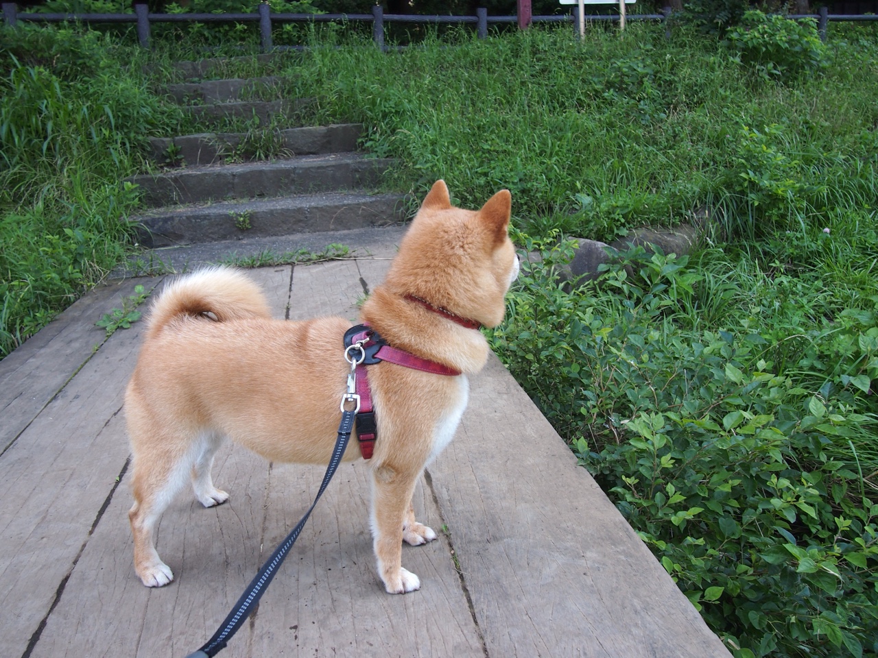 KAIYUN 中国大陆-台球运动推广：国家队训练营启动，台球运动协会